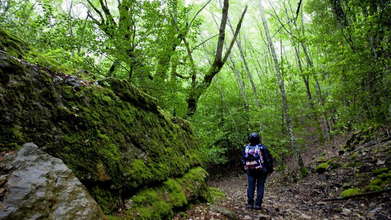 La Peonia Casa Vacanze In Montagna Prato Verde Panorama Stupendo Sardegna Seùlo Exterior foto